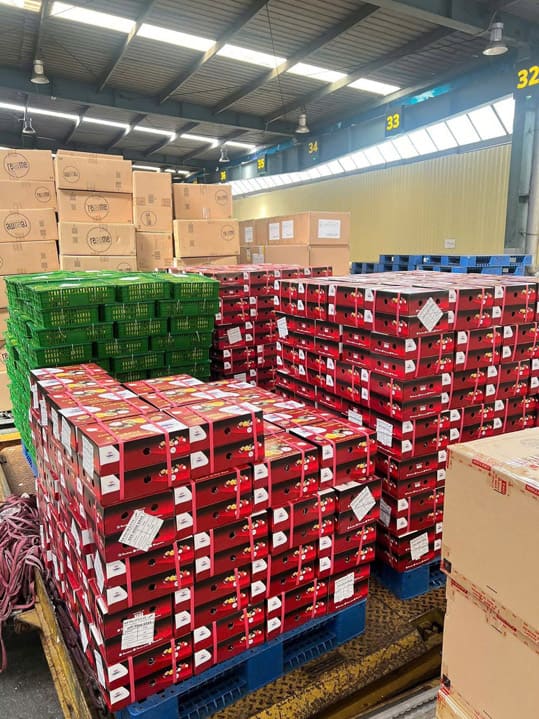 Hình ảnh hoạt động công ty Phước Thành Tài - Nông Sản Phước Thành Tài - Công Ty TNHH Xuất Nhập Khẩu Quốc Tế Phước Thành Tài